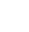 Logo en bas de page